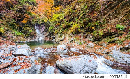Ojiragawa Canyon (Autumn): Sengabuchi 90558544