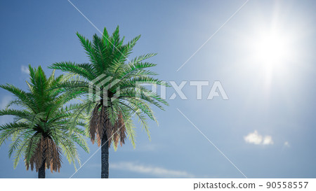 熱帶圖像 cg 熱帶圖像 cg 90558557