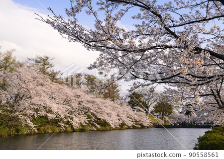 新潟縣高田城三重塔夜景 新潟縣高田城三重塔夜景 90558561