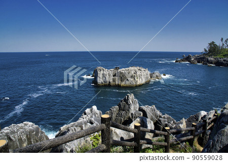 21971 Karakuwa Peninsula Giant Pot Hachimaniwa 90559028