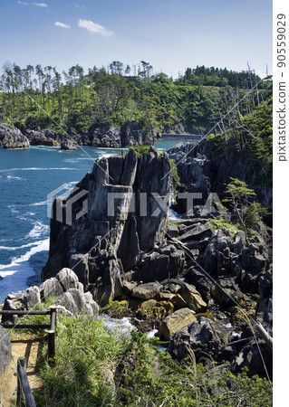 21972 Karakuwa半島大鍋 90559029