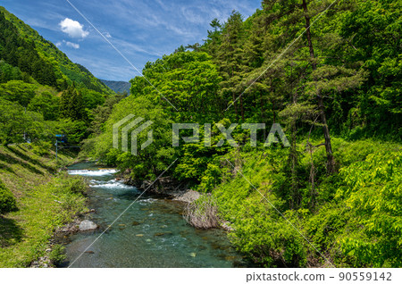 Beautiful fresh green and mountain stream scenery 90559142