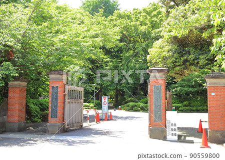 Gakushuin University Main Gate Toshima Ward Gakushuin University Main Gate Toshima Ward 90559800