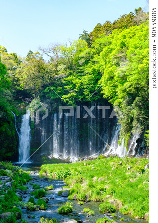 Shiraito Falls (Fujinomiya City) Shiraito Falls (Fujinomiya City) 90559885