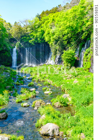 白rai瀑布（富士宮市） 90559891