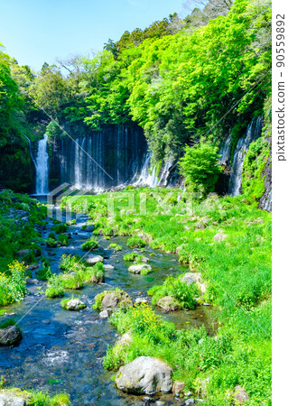 白rai瀑布(富士宮市) 白rai瀑布(富士宮市) 90559892