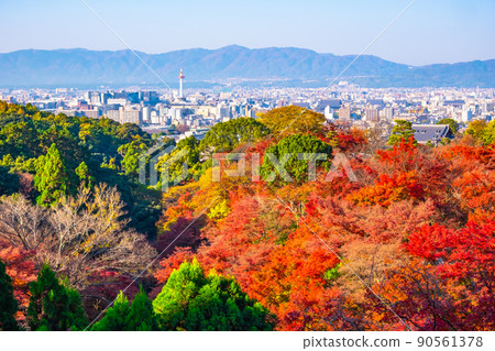 Autumn leaves in the precincts of Kiyomizu Temple and the streets of Kyoto 90561378