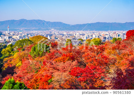 Autumn leaves in the precincts of Kiyomizu Temple and the streets of Kyoto Autumn leaves in the precincts of Kiyomizu Temple and the streets of Kyoto 90561380