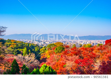 Autumn leaves in the precincts of Kiyomizu Temple and the streets of Kyoto Autumn leaves in the precincts of Kiyomizu Temple and the streets of Kyoto 90561381