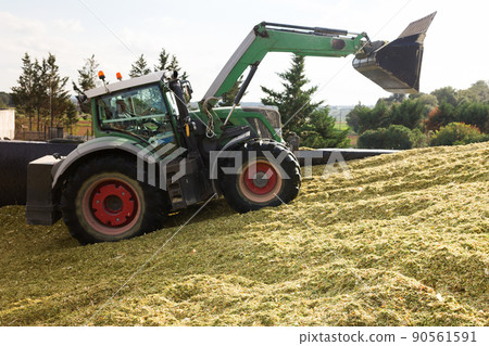 Harvesting of silage Harvesting of silage 90561591