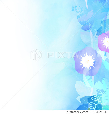 涼爽的牽牛花背景 90562581