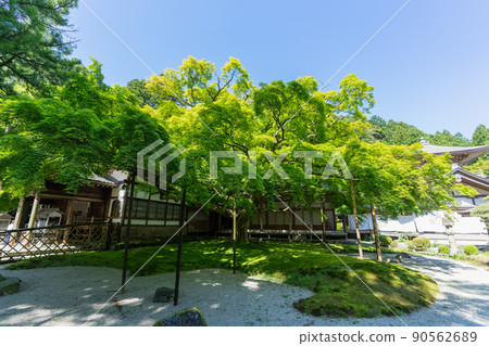 《Fukuoka Prefecture》 Shingon sect Daikakuji school Raizan Senryoji Temple Daisouin (Raizan Kannon) 90562689
