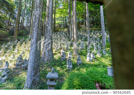 《Fukuoka Prefecture》 Shingon sect Daikakuji school Raizan Senryoji Temple Daisouin (Raizan Kannon) 90562695