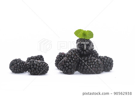 新鮮的黑莓在白色背景上 90562938