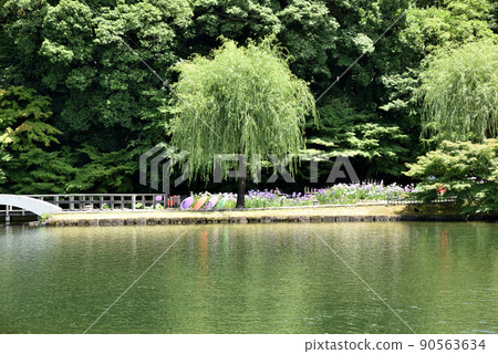 Tokugawaen in early summer Tokugawaen in early summer 90563634