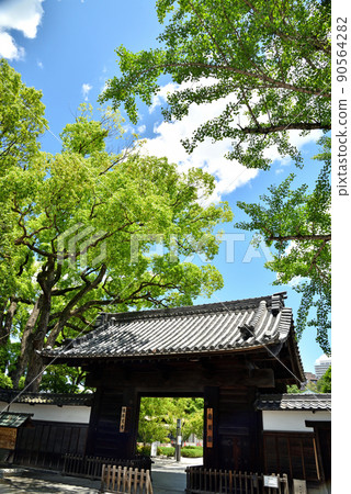 初夏的德川園 初夏的德川園 90564282