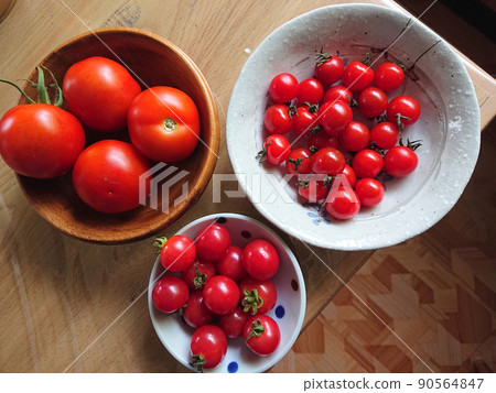 fruit tomatos after harvest / 3 kinds of freshly picked tomatoes @ kitchen garden fruit tomatos after harvest / 3 kinds of freshly picked tomatoes @ kitchen garden 90564847