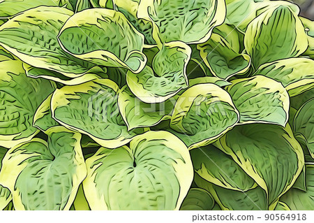 Pastel-like "hosta leaf" illustration image 90564918