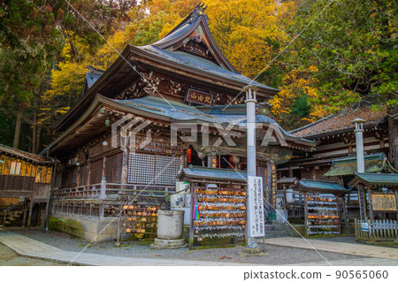 Autumn Shinshu Ueda Autumn leaves Bessho Onsen (Kamakura, Shinshu) Kitamuki Kannon 90565060
