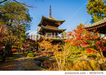 秋信州上田秋葉信濃國分寺三重塔 90565476