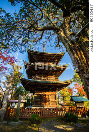 秋信州上田秋葉信濃國分寺三重塔 秋信州上田秋葉信濃國分寺三重塔 90565487