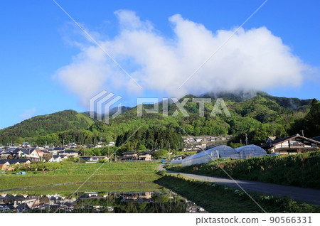 Stratus and Mt. Kazakoshi [Iida City, Nagano Prefecture] 90566331