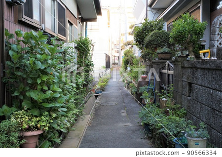 Rikaisen (Firebreak and evacuation route in Iida city area) [Iida City, Nagano Prefecture] 90566334