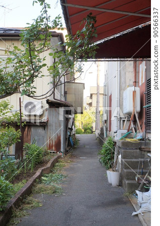 Rikaisen (Firebreak and evacuation route in Iida city area) [Iida City, Nagano Prefecture] 90566337
