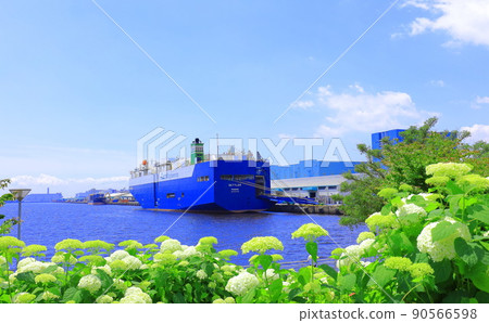 Odaiba Square Park Hydrangea and Ferris Wheel 90566598