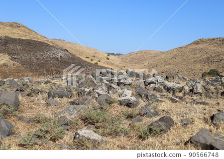 the ruins of a large Byzantine monastery Kursi on the shores of Lake Tiberias, on the western slope of the Golan Heights. 90566748
