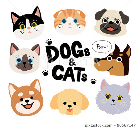 Deformed dog and cat faces 90567147
