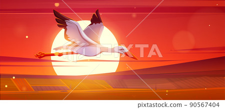 White stork flying above fields at sunset White stork flying above fields at sunset 90567404