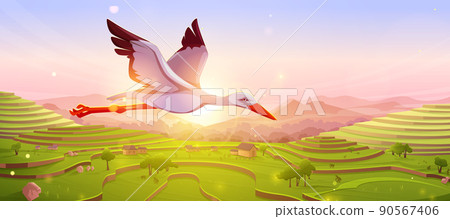 White stork flying in sky at sunset or sunrise White stork flying in sky at sunset or sunrise 90567406