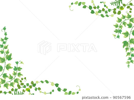 Fresh green background illustration ivy natural leaf Fresh green background illustration ivy natural leaf 90567596