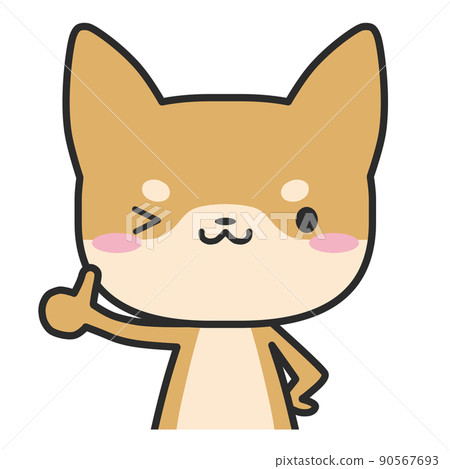 上半身的柴犬豎起大拇指 90567693