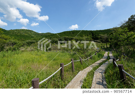 Imo Wetlands walking course 90567714