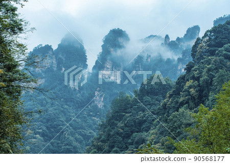 Amazing landscape of mountain and forest in the foggy at Wulingyuan, Hunan, China. Wulingyuan Scenic and Historic Interest Area which was designated a UNESCO World Heritage Site in China Amazing landscape of mountain and forest in the foggy at Wulingyuan, Hunan, China. Wulingyuan Scenic and Historic Interest Area which was designated a UNESCO World Heritage Site in China 90568177