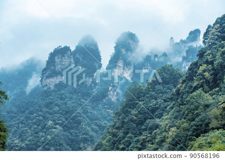 Amazing landscape of mountain and forest in the foggy at Wulingyuan, Hunan, China. Wulingyuan Scenic and Historic Interest Area which was designated a UNESCO World Heritage Site in China Amazing landscape of mountain and forest in the foggy at Wulingyuan, Hunan, China. Wulingyuan Scenic and Historic Interest Area which was designated a UNESCO World Heritage Site in China 90568196