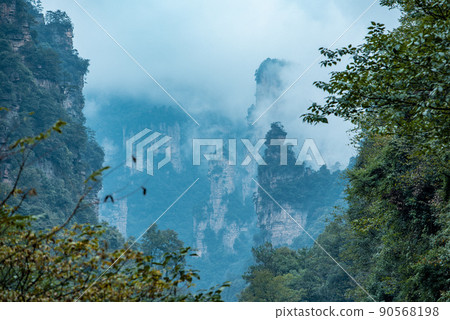 Amazing landscape of mountain and forest in the foggy at Wulingyuan, Hunan, China. Wulingyuan Scenic and Historic Interest Area which was designated a UNESCO World Heritage Site in China Amazing landscape of mountain and forest in the foggy at Wulingyuan, Hunan, China. Wulingyuan Scenic and Historic Interest Area which was designated a UNESCO World Heritage Site in China 90568198