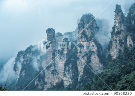 Amazing landscape of mountain and forest in the foggy at Wulingyuan, Hunan, China. Wulingyuan Scenic and Historic Interest Area which was designated a UNESCO World Heritage Site in China Amazing landscape of mountain and forest in the foggy at Wulingyuan, Hunan, China. Wulingyuan Scenic and Historic Interest Area which was designated a UNESCO World Heritage Site in China 90568220