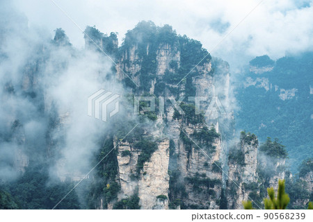 Amazing landscape of mountain and forest in the foggy at Wulingyuan, Hunan, China. Wulingyuan Scenic and Historic Interest Area which was designated a UNESCO World Heritage Site in China Amazing landscape of mountain and forest in the foggy at Wulingyuan, Hunan, China. Wulingyuan Scenic and Historic Interest Area which was designated a UNESCO World Heritage Site in China 90568239