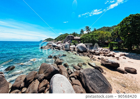 Summer sea view on a tropical island 90568420
