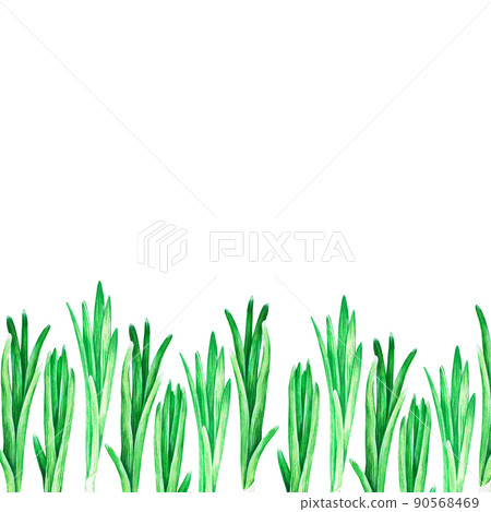 Green onions banner. Watercolor illustration. Isolated on a white background. For your design. Green onions banner. Watercolor illustration. Isolated on a white background. For your design. 90568469