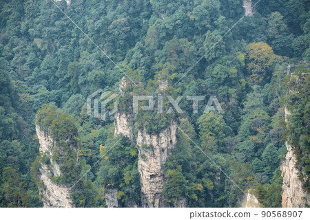 Amazing landscape of mountain and forest in the foggy at Wulingyuan, Hunan, China. Wulingyuan Scenic and Historic Interest Area which was designated a UNESCO World Heritage Site in China Amazing landscape of mountain and forest in the foggy at Wulingyuan, Hunan, China. Wulingyuan Scenic and Historic Interest Area which was designated a UNESCO World Heritage Site in China 90568907