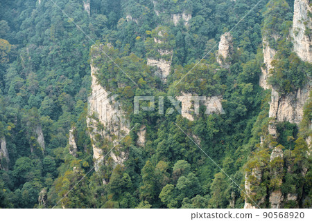 Amazing landscape of mountain and forest in the foggy at Wulingyuan, Hunan, China. Wulingyuan Scenic and Historic Interest Area which was designated a UNESCO World Heritage Site in China Amazing landscape of mountain and forest in the foggy at Wulingyuan, Hunan, China. Wulingyuan Scenic and Historic Interest Area which was designated a UNESCO World Heritage Site in China 90568920