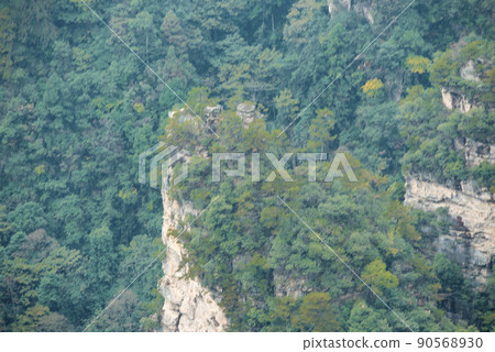 Amazing landscape of mountain and forest in the foggy at Wulingyuan, Hunan, China. Wulingyuan Scenic and Historic Interest Area which was designated a UNESCO World Heritage Site in China Amazing landscape of mountain and forest in the foggy at Wulingyuan, Hunan, China. Wulingyuan Scenic and Historic Interest Area which was designated a UNESCO World Heritage Site in China 90568930