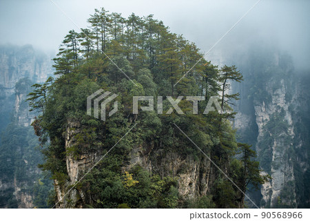 Amazing landscape of mountain and forest in the foggy at Wulingyuan, Hunan, China. Wulingyuan Scenic and Historic Interest Area which was designated a UNESCO World Heritage Site in China Amazing landscape of mountain and forest in the foggy at Wulingyuan, Hunan, China. Wulingyuan Scenic and Historic Interest Area which was designated a UNESCO World Heritage Site in China 90568966