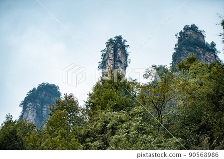 Amazing landscape of mountain and forest in the foggy at Wulingyuan, Hunan, China. Wulingyuan Scenic and Historic Interest Area which was designated a UNESCO World Heritage Site in China Amazing landscape of mountain and forest in the foggy at Wulingyuan, Hunan, China. Wulingyuan Scenic and Historic Interest Area which was designated a UNESCO World Heritage Site in China 90568986