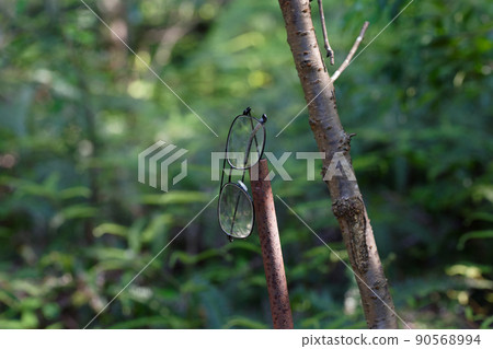 Forest's lost article 90568994