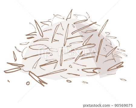 Bagasse illustration natural system 90569075